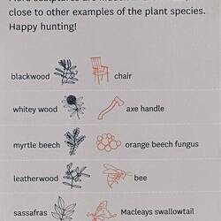 The first walking tour had this variety of things for us to look for.