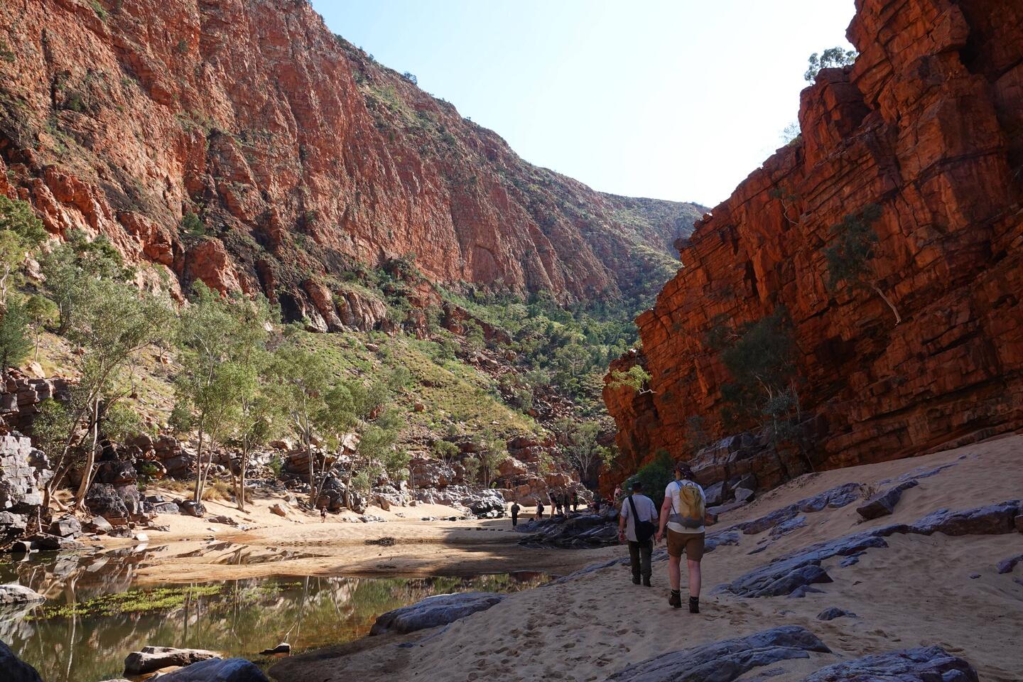 Ghost Gum Walk, Ormiston Gorge