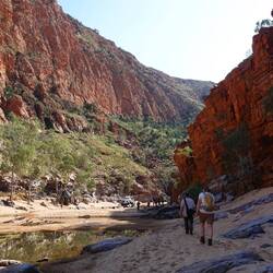 Ghost Gum Walk, Ormiston Gorge