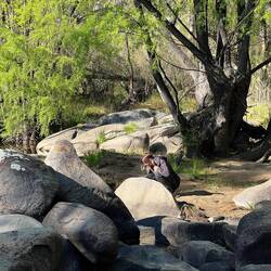 Lara ist am Goldwaschen