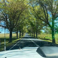 Frühling in Australien