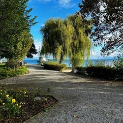 🇨🇭 Morgenspaziergang am See