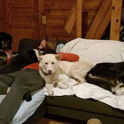 Feierabend🍀🇫🇮🫶