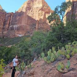 Des cactus avec de délicieuses figues de barbarie!!!