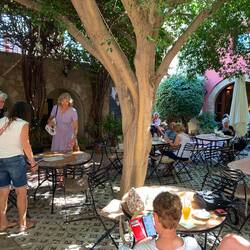 Mittagspause im Schatten