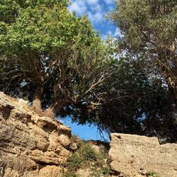 Und wenn man sie lässt, erobern sie alles zurück