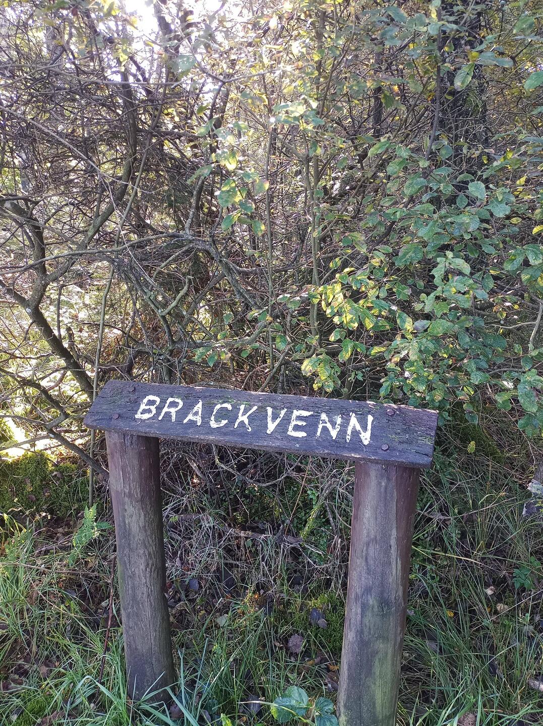 Wandergebiet Brackvenn, Belgien