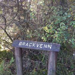 Wandergebiet Brackvenn, Belgien