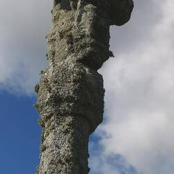Fundstücke auf unserer Wanderung