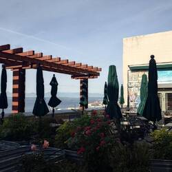 Rooftop Garden