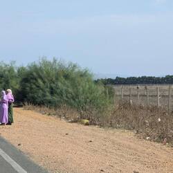 Warten auf eine Mitfahrgelegenheit