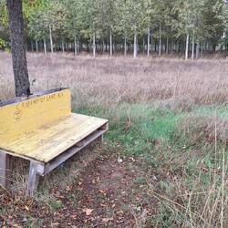When you need a seat you aren't going to be too bothered it's made out of some old pallet.