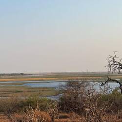 der schöne Chobe – River