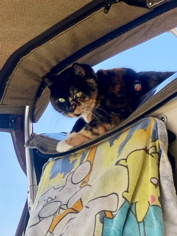 Luna sunning