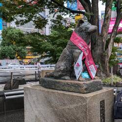 Hachiko wartet noch