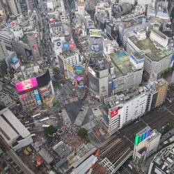 Shibuya Crossing