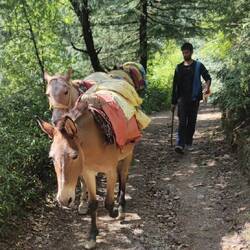 Weg zu Julians Elternhaus