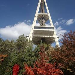 Space Needle