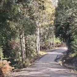 An excerpt (at 2x speed) of the last ~2min of our drive to the lodge. All blind turns & potholes!