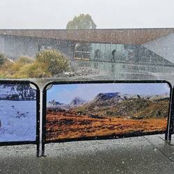 Waking for the bus in the snow. Yes, SNOW.