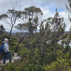 Lots of nice places to enjoy the lake views.