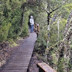 Many areas of the trail are protected by trees and mountain side.