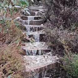 This is the point where we turned around...a bit of a watery hike. 🤣