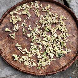 Broccoli & Cauliflower drying