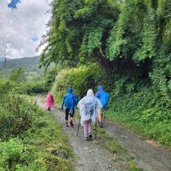 First rain during the day we have had and it wasn't a lot