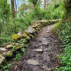All the stepping stones placed by locals