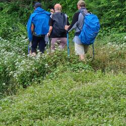 So many leeches grabbed on going through these areas. Normally end in August. Monsoons are later now