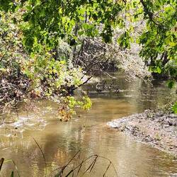 Rio Louro. We followed it most of the way today