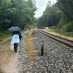 No one said you could get a train