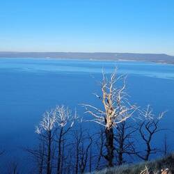 Yellowstone Lake am frühen Morgen