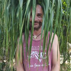 Celli hat wieder Haare