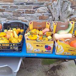 The veg just looked so strikingly colourful.