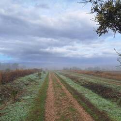 About 8 miles in the mist started to lift.