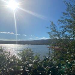 Die Donau. Ggü ist Serbien