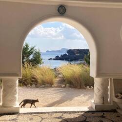 Ehemalige italienische Bäderkultur mit Katze