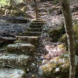 Geheimnissvolle Treppe im Schmetterlingswald