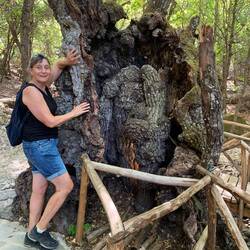 Am Bach standen beeindruckende Bäume