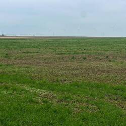 The plain. Hidden in the grey is a wind farm.