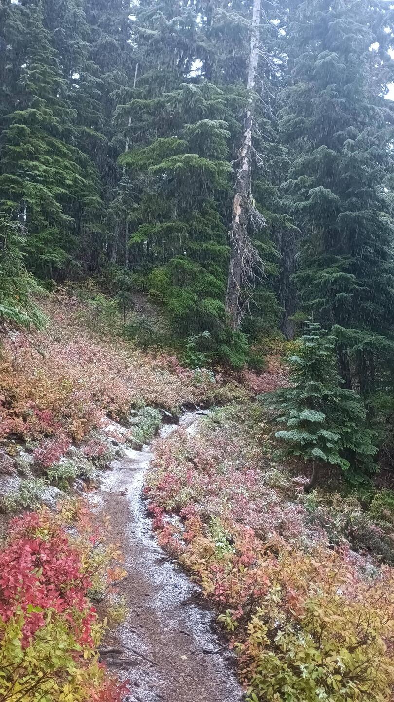 Das war nur der Anfang 🙈