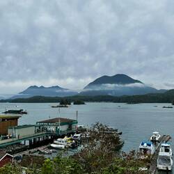 Tofino