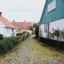 Kivik