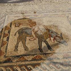 Volubilis - Mosaik