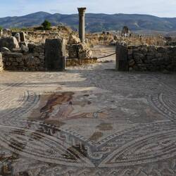 Volubilis - Mosaik