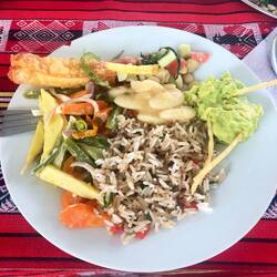 Beispielmittagessen: - gebratenes Gemüse, Guacamole, Reis, Bohnen und Frühlingsrolle (?) - 10/10⭐️