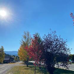 Indian Summer überall!