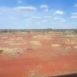 Kurz vor Coober Pedy wird die Landschaft sehr karg und flach